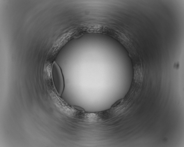 X0000115630287200911101444