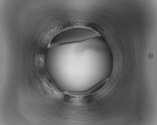 X0000115630288200911101444