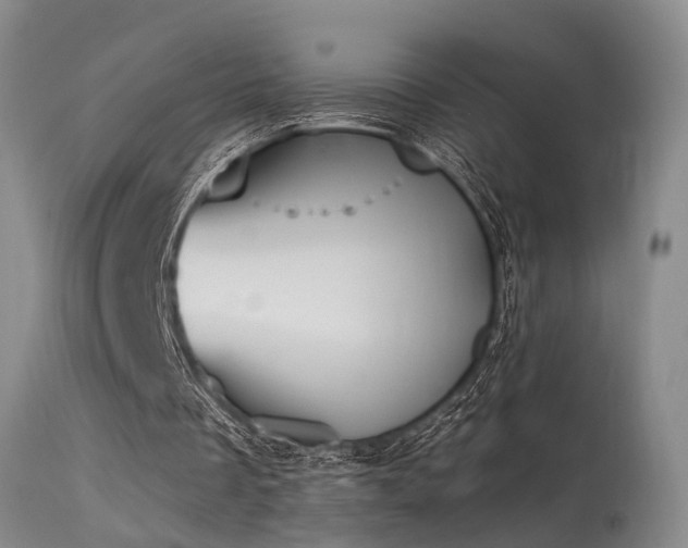 X0000115630289200911101444