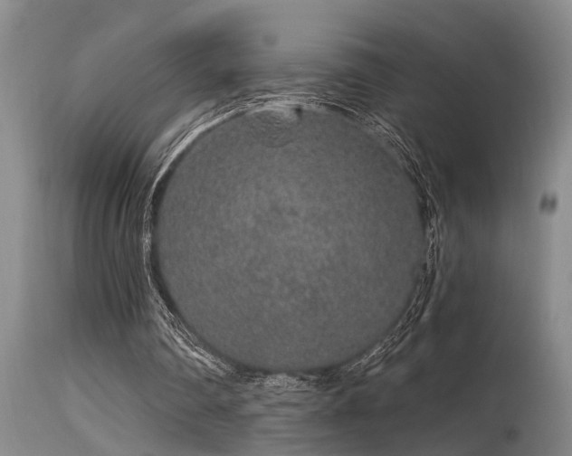 X0000115630290200911101444