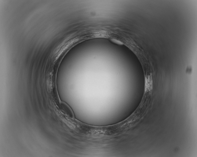 X0000115630291200911101444