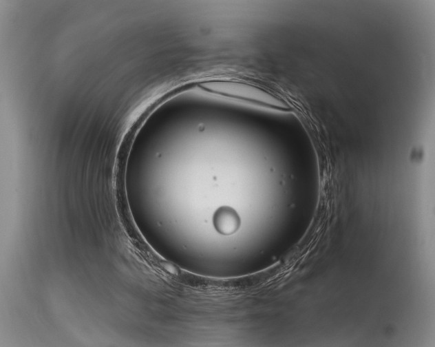 X0000115630292200911101444