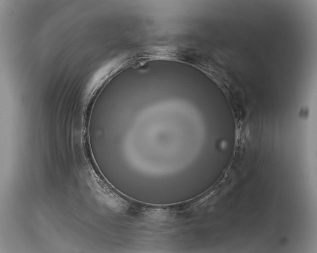 X0000115630293200911101444
