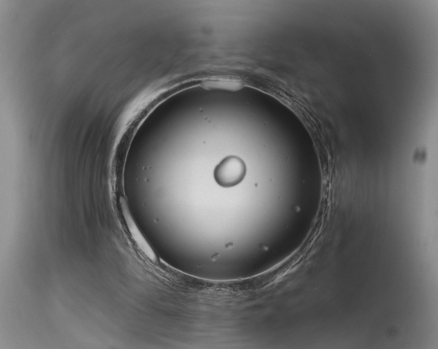 X0000115630294200911101444