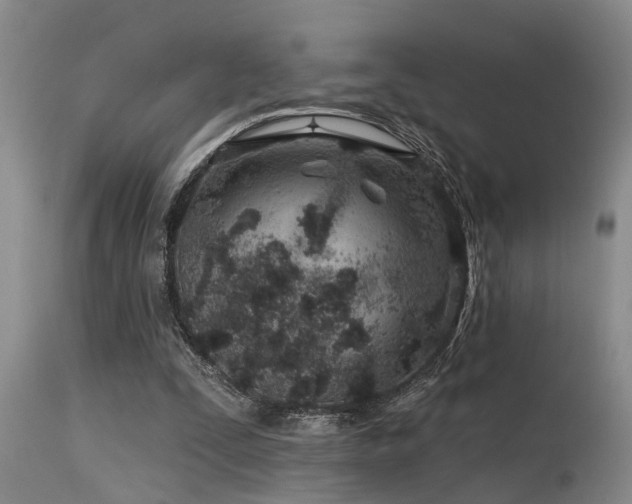 X0000115630295200911101444