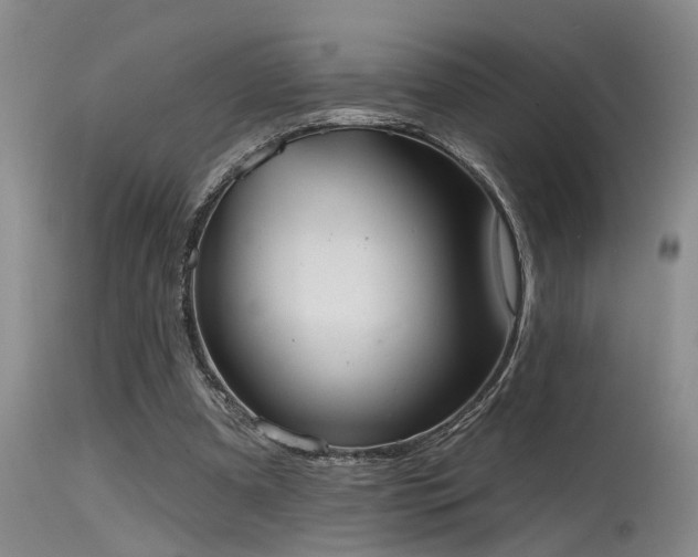 X0000115630297200911101444