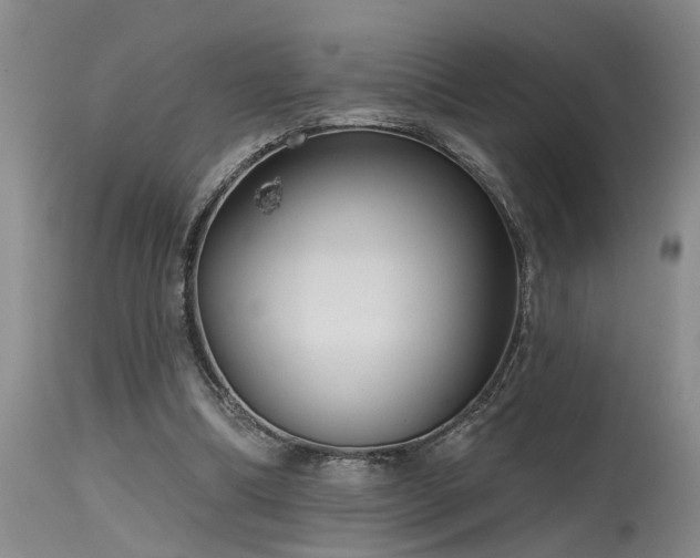 X0000115630298200911101444