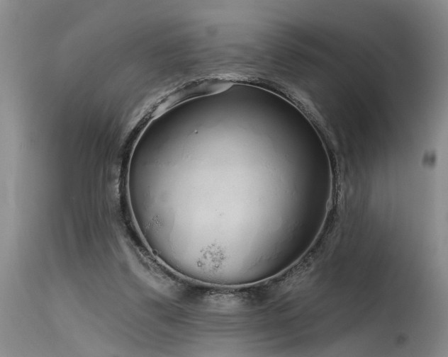X0000115630299200911101444