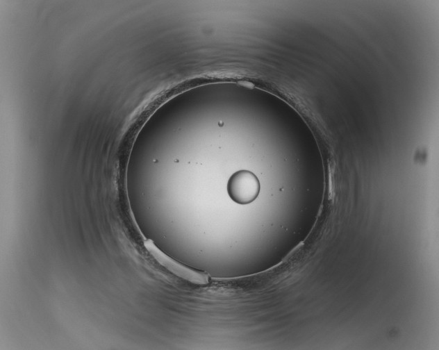 X0000115630300200911101444