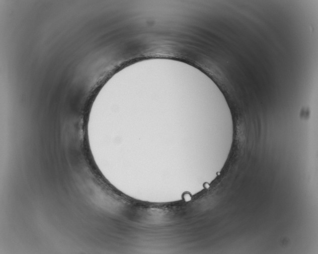 X0000115630302200911101444