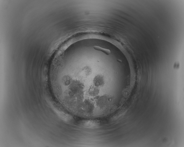 X0000115630303200911101444