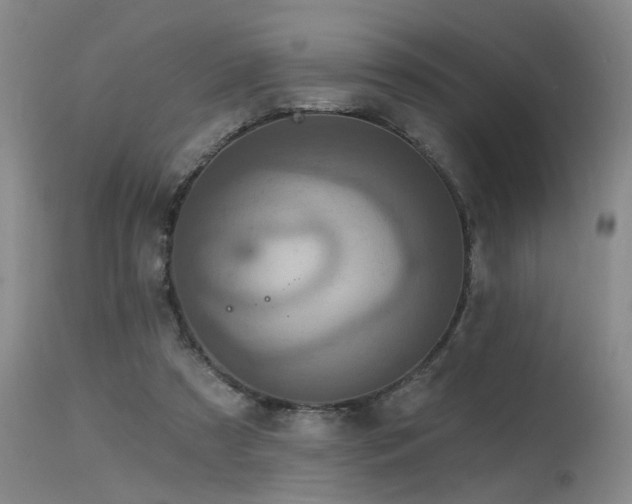 X0000115630305200911101444