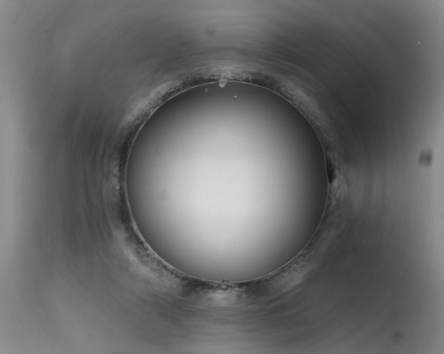 X0000115630306200911101444