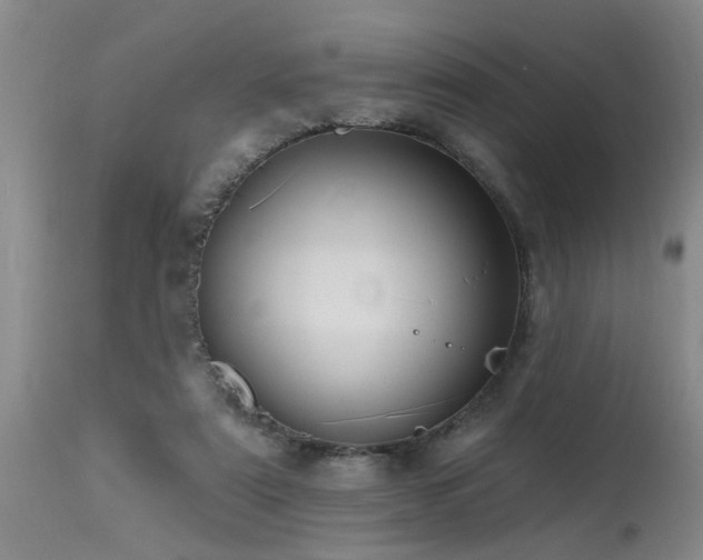 X0000115630307200911101444