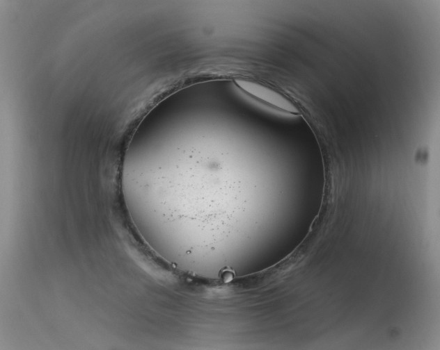 X0000115630309200911101443