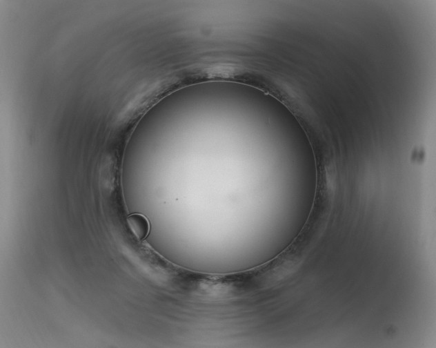 X0000115630311200911101443