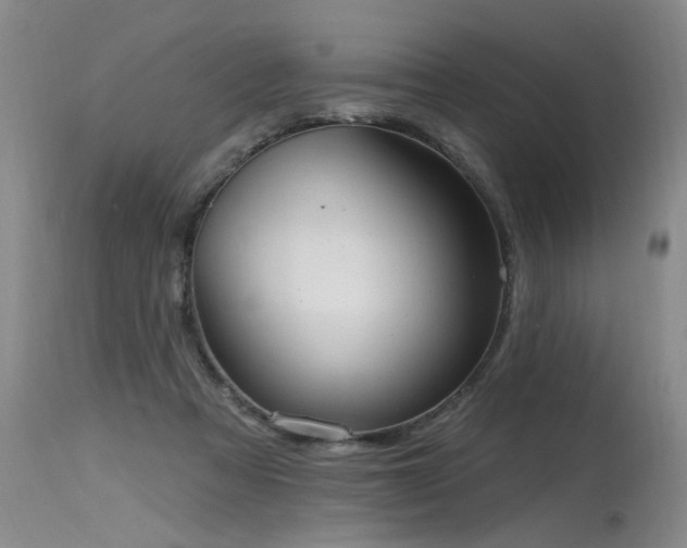 X0000115630313200911101443