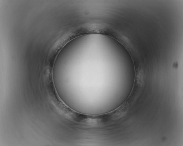 X0000115630314200911101443