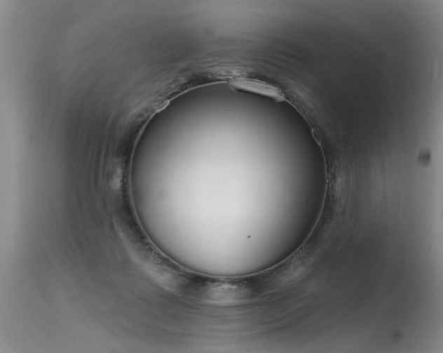 X0000115630315200911101443