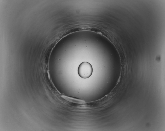 X0000115630316200911101443