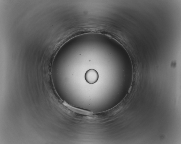 X0000115630317200911101443