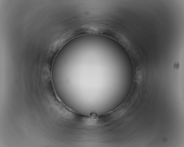 X0000115630318200911101443