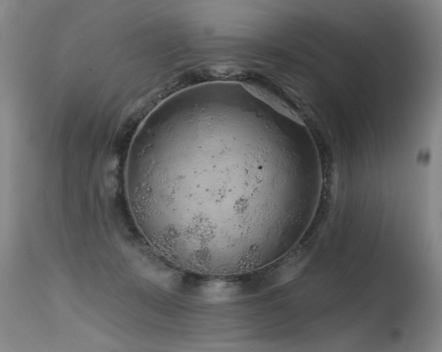 X0000115630319200911101443