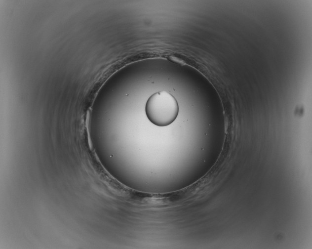 X0000115630320200911101443