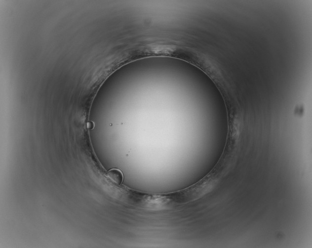 X0000115630321200911101443