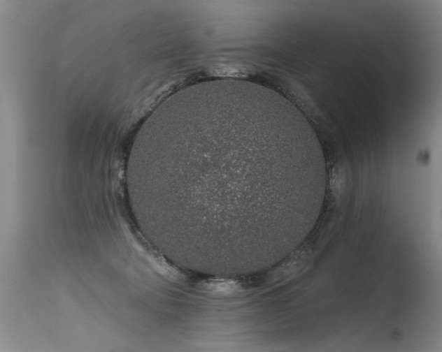 X0000115630322200911101443