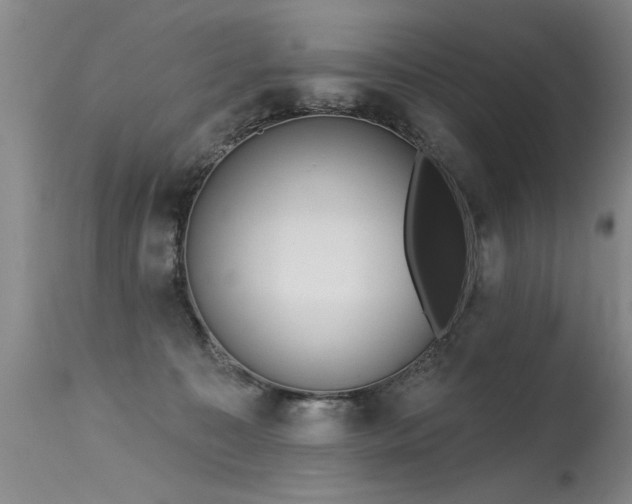 X0000115630323200911101443