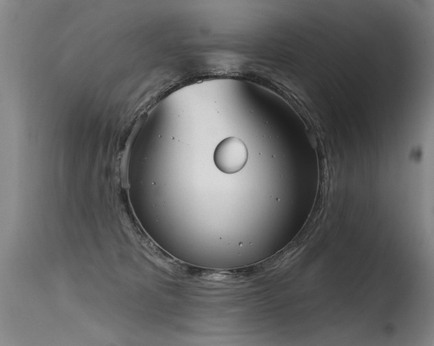 X0000115630325200911101443