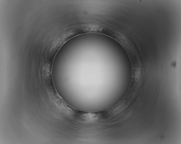 X0000115630326200911101443