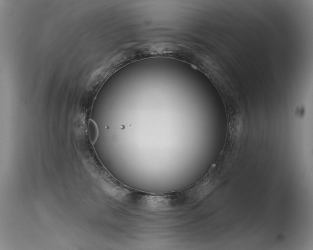 X0000115630327200911101443