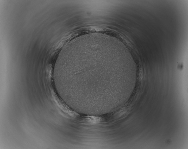 X0000115630328200911101443