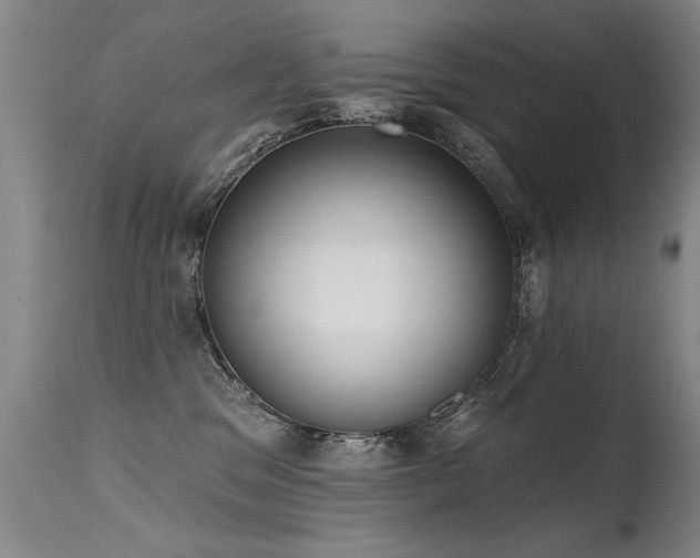X0000115630329200911101443