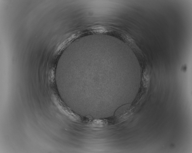 X0000115630330200911101443