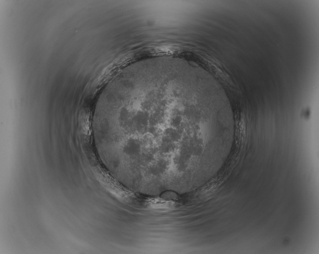 X0000115630331200911101443