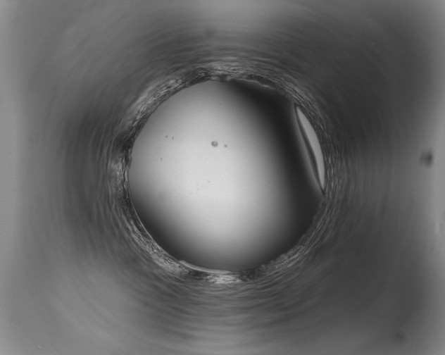 X0000115630333200911101443