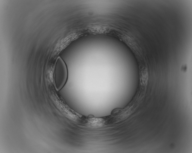 X0000115630334200911101443