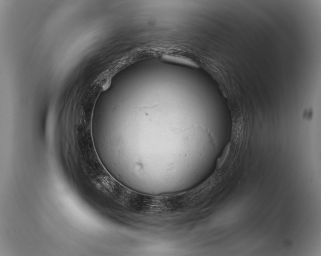 X0000115630335200911101443
