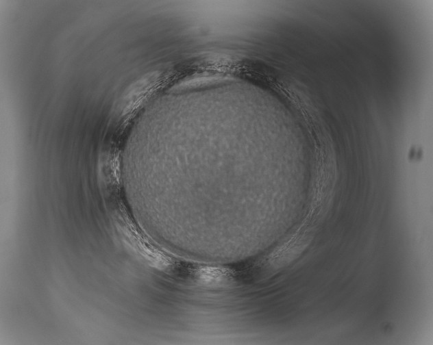 X0000115630336200911101443