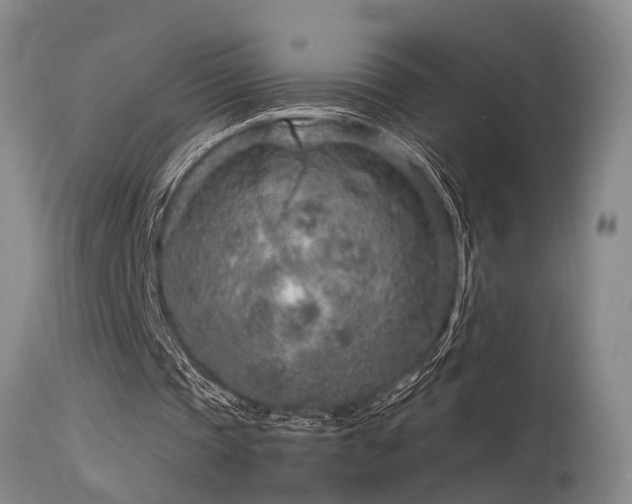 X0000115630337200911101442