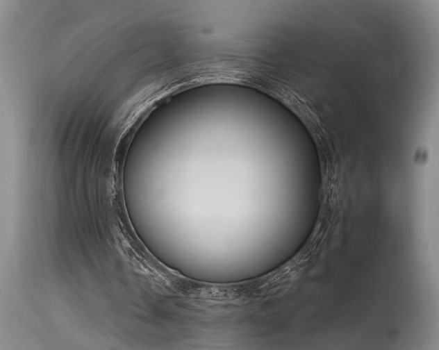 X0000115630338200911101442