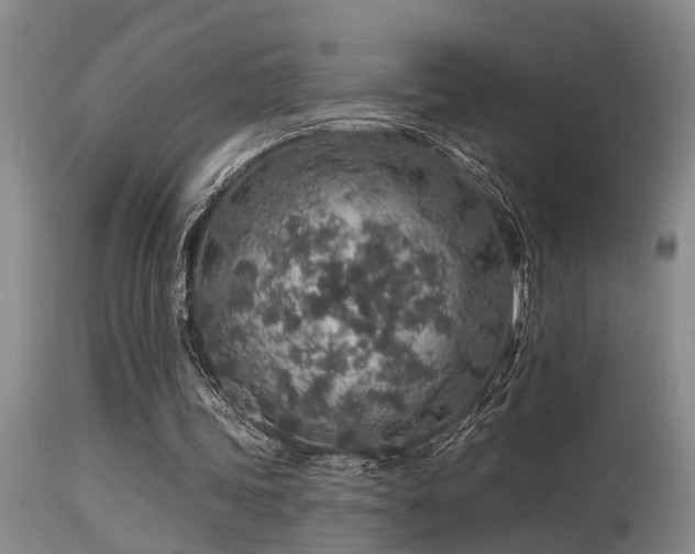 X0000115630339200911101442