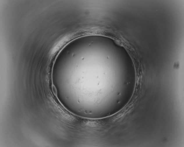 X0000115630341200911101443