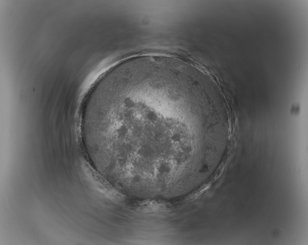 X0000115630343200911101443