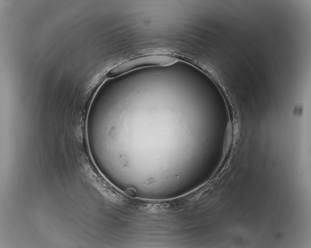 X0000115630345200911101443