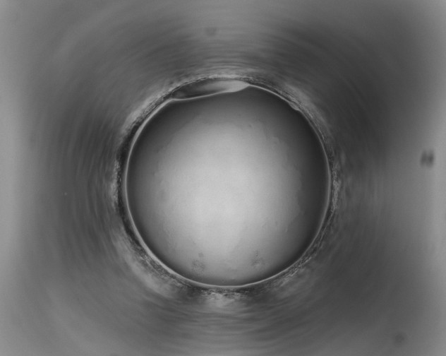 X0000115630346200911101443
