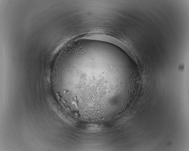 X0000115630347200911101443